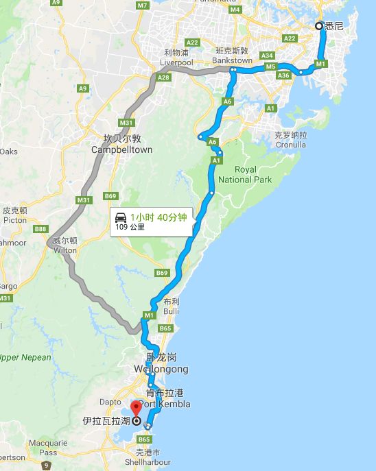 全体注意!悉尼海滩已被顶级海鲜攻陷,竟然能免费抓!从早到晚,小伙伴捞的爽翻了!隔着屏幕哈喇子流了一地...