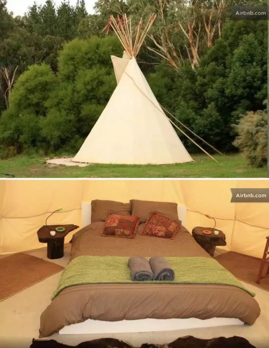 叢林樹屋到私人島嶼，全澳最好的25個Airbnb民宿都在這裡了