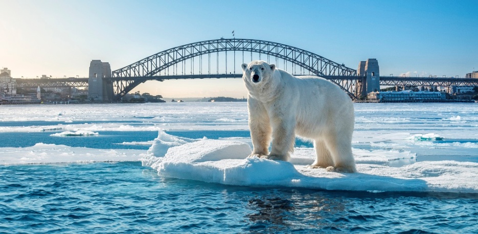 Arctic Voices Polar Bear 1020x500.jpg