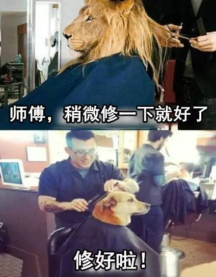 https://mmbiz.qlogo.cn/mmbiz/lFRpHwZCkU0547LNbMNKJouwLYMsCpcjkwIdToN03vkZXzSJxr8dMqASfIHauLXic2JBBUGv7dAsunficATBnFvw/640?wx_fmt=jpeg