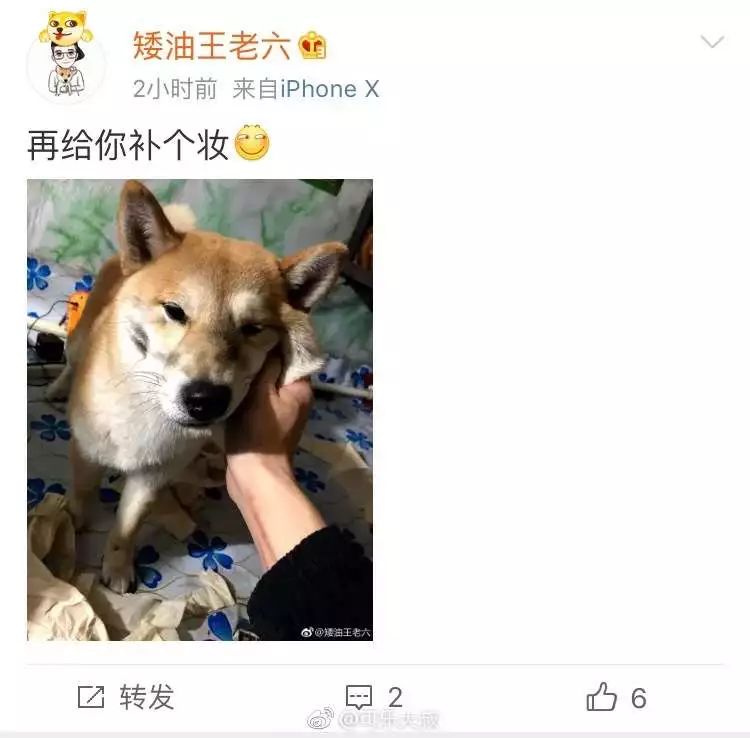 https://mmbiz.qpic.cn/mmbiz_jpg/XIo5icAdibUPI1BH92p61gZQPOkg0AnWxsqQZIAibFGjahvmfjC0UQbViahHFbvzOibtewquqhkMh04k7VKW2x0icVEA/640?wx_fmt=jpeg
