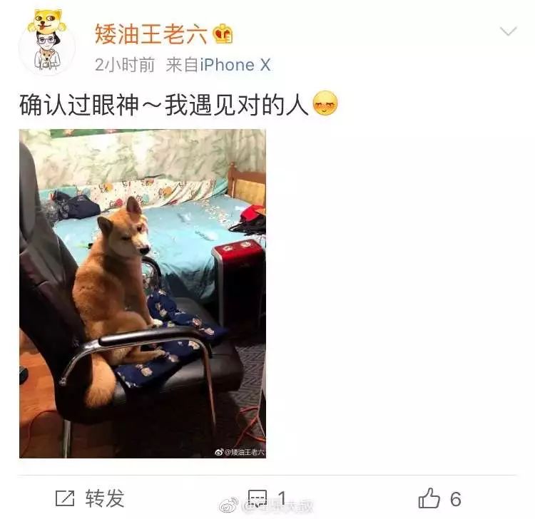 https://mmbiz.qpic.cn/mmbiz_jpg/XIo5icAdibUPI1BH92p61gZQPOkg0AnWxs3wqM9KKpLmQTmib5akKqPRt60pI5ibmxRS2HDmAdeaRbN2F8XXGq0ZMw/640?wx_fmt=jpeg
