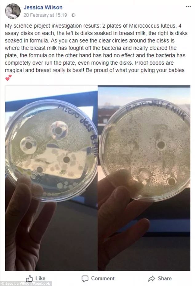 https://mmbiz.qpic.cn/mmbiz_jpg/XIo5icAdibUPKEaDlC1E8HiaJocxBPGoymriaz57u4tvLFdjOX6Onjb32ZoKPTavpcpfFmFk7WZSMlnALGHMczN0Qw/640?wx_fmt=jpeg