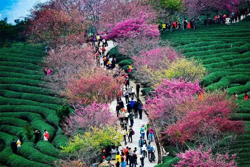 https://mmbiz.qpic.cn/mmbiz_jpg/XIo5icAdibUPLE0Qw9icOec1oCt0NkXJWzyv46CVWfxWXticfgzZ8b9cpXfSibt9g90ufZoL7fMZ4kwMUCJSEBYTRyg/640?wx_fmt=jpeg