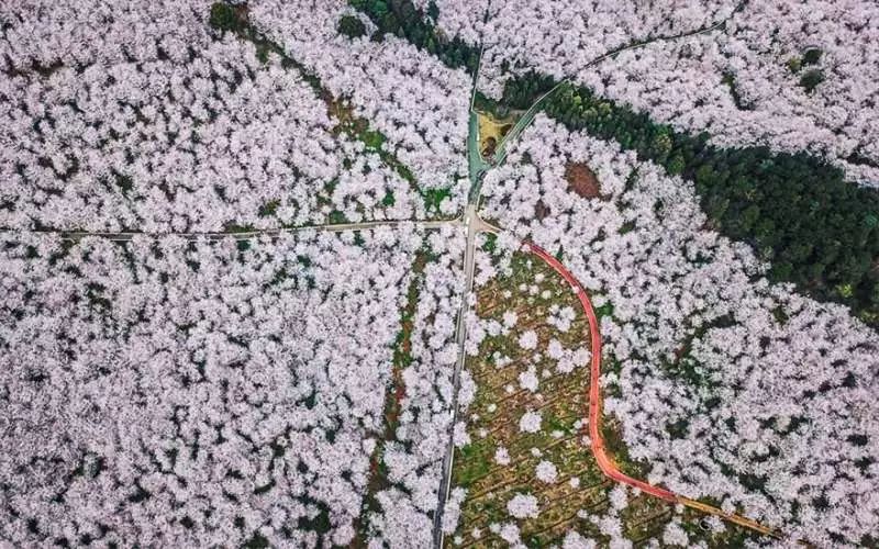 https://mmbiz.qpic.cn/mmbiz_jpg/XIo5icAdibUPLE0Qw9icOec1oCt0NkXJWzyY0QopDZTLryhhmI5VfAN4rj1JU67APmJFNor3OUHdE5dzmMpuaTWbA/640?wx_fmt=jpeg