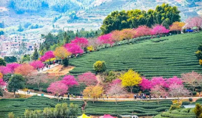 https://mmbiz.qpic.cn/mmbiz_jpg/XIo5icAdibUPLE0Qw9icOec1oCt0NkXJWzyReGYSLf450X2eqCQCCHbGkwtrVBNmZeMjllerN42OtKPULXtbBeHCw/640?wx_fmt=jpeg