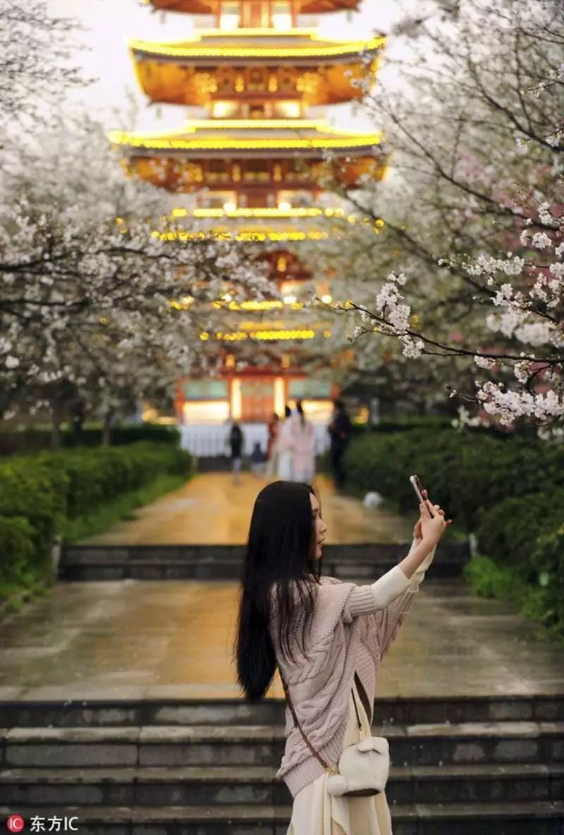 https://mmbiz.qpic.cn/mmbiz_jpg/XIo5icAdibUPLE0Qw9icOec1oCt0NkXJWzy96m61fWve3Enht9ZicMyUZCj9NyJxRs5UYSxejQqy4YVhE5o6Nia51NQ/640?wx_fmt=jpeg