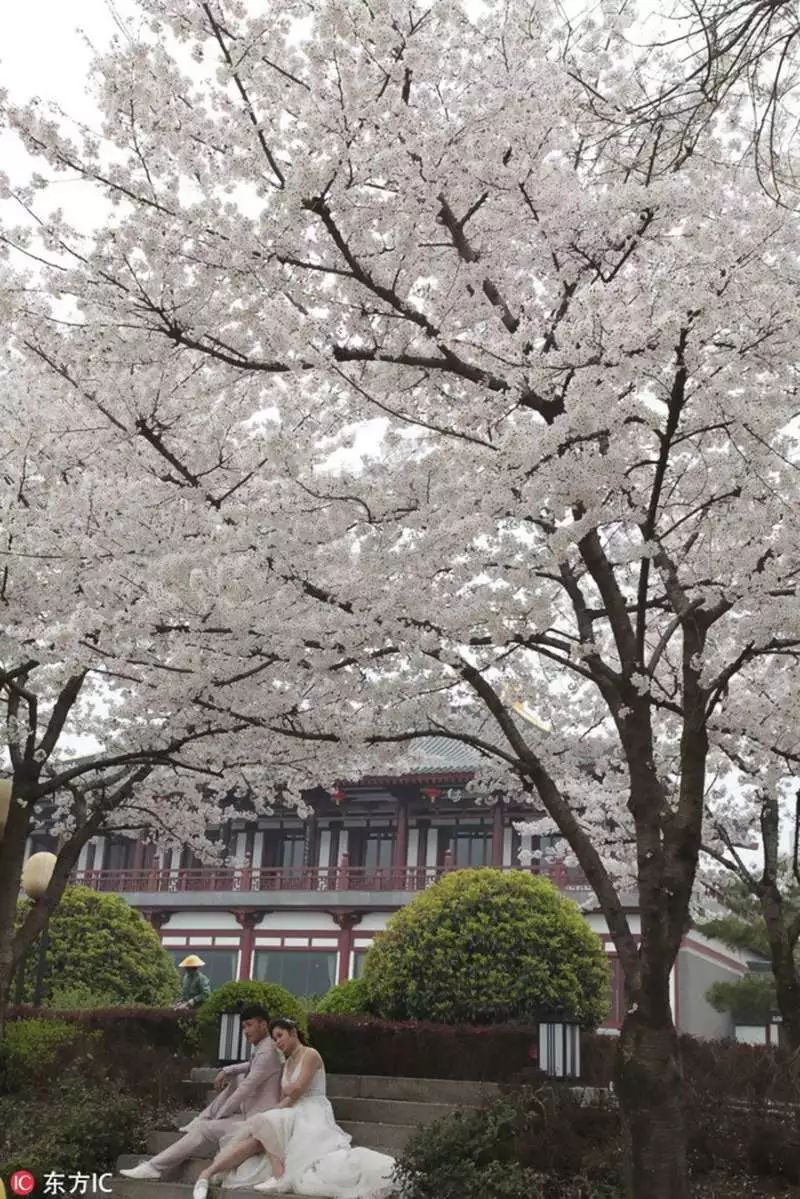 https://mmbiz.qpic.cn/mmbiz_jpg/XIo5icAdibUPLE0Qw9icOec1oCt0NkXJWzyBDAvBfYWHXE328uT0Ot0vMXaicRBFpvj5s191PPbjtcOFnsRDQ6pKIw/640?wx_fmt=jpeg