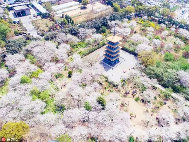 https://mmbiz.qpic.cn/mmbiz_jpg/XIo5icAdibUPLE0Qw9icOec1oCt0NkXJWzyZMfTicsZPWOZ6kVRC166h6jefWOvG0lHOmA5WL9fwwL1gXsAVhd2z6g/640?wx_fmt=jpeg