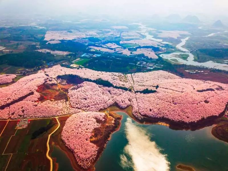 https://mmbiz.qpic.cn/mmbiz_jpg/XIo5icAdibUPLE0Qw9icOec1oCt0NkXJWzyKhVHBYElfbfDwFzb1OXywEV2FoUyACHd0k0xlfE1m0mnQTu0ko1xcQ/640?wx_fmt=jpeg