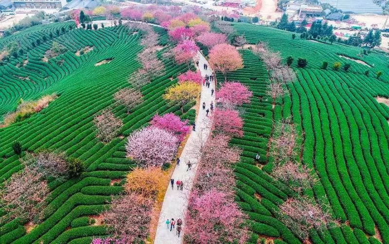 https://mmbiz.qpic.cn/mmbiz_jpg/XIo5icAdibUPLE0Qw9icOec1oCt0NkXJWzyKHmNacSNtQEE5d4o5NroPzkbLIViaVfMPKECDae7l36eE5Y0GpuXtfg/640?wx_fmt=jpeg