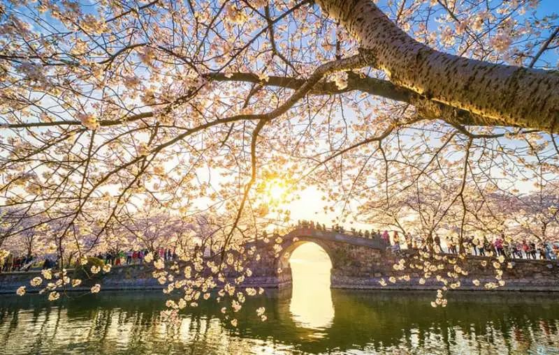 https://mmbiz.qpic.cn/mmbiz_jpg/XIo5icAdibUPLE0Qw9icOec1oCt0NkXJWzyhFLYRQ3GKombM1oNoVTzRtoT0VulYH4yspwodX6vRsDtGGx5LOsy9Q/640?wx_fmt=jpeg