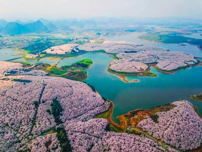 https://mmbiz.qpic.cn/mmbiz_jpg/XIo5icAdibUPLE0Qw9icOec1oCt0NkXJWzyaLkKCBTDZMOqLopDEZRVqnftPgK21MUuh5XcP0gPspOFrZvnItnxkA/640?wx_fmt=jpeg