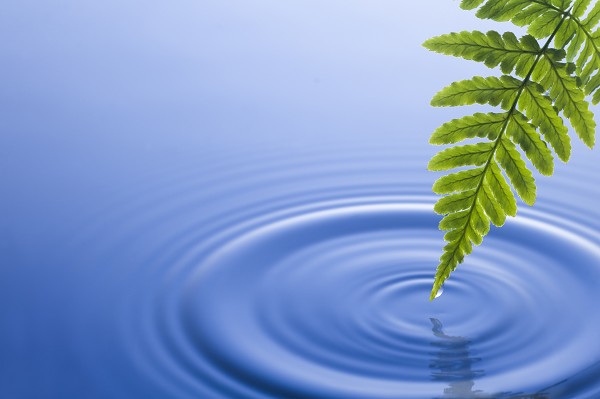 istock_000011905893large.jpg