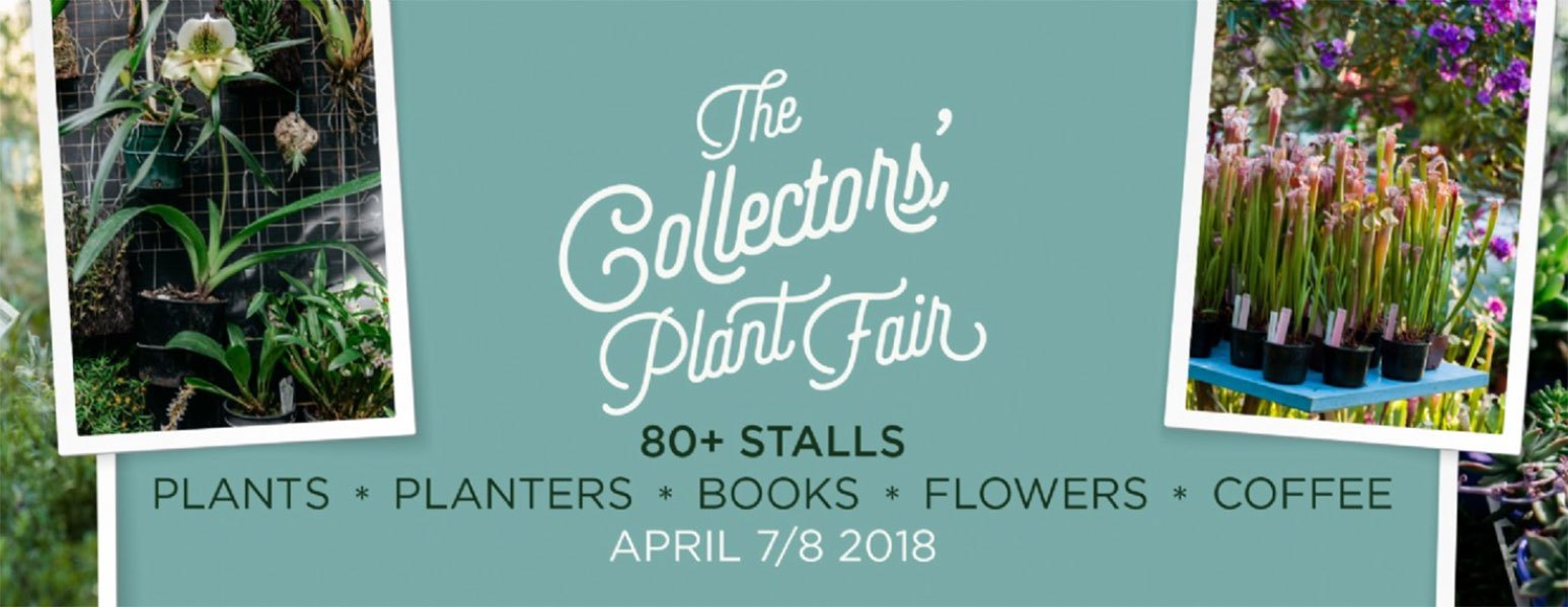 collectors-plant-fair.jpg