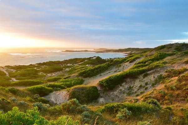 http://adelaidebbs.com/bbs/data/attachment/forum/201804/26/064006apaxsixyxps4qqsw.jpg