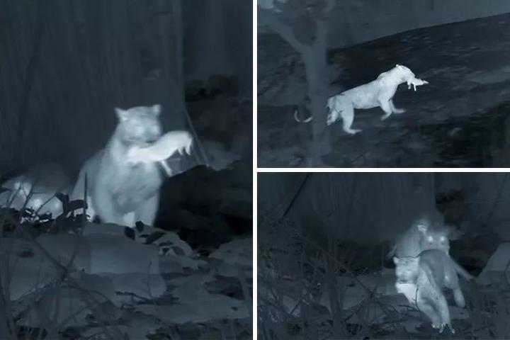http://www.52hrttpic.com/image/infoImage/201804/06/G1522376420071.jpeg?720x480