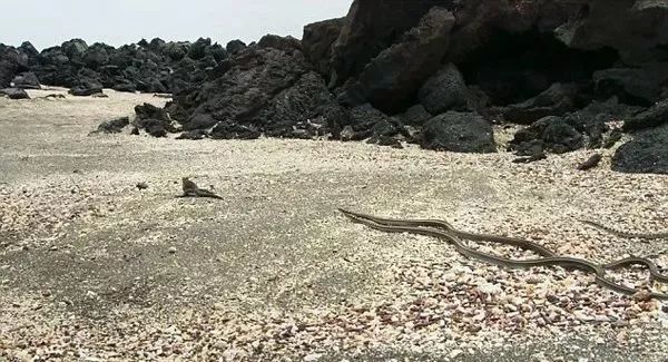 http://www.52hrttpic.com/image/infoImage/201804/06/G1522376420078.jpeg?600x325