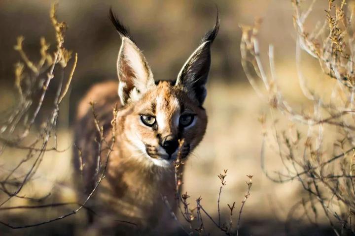http://www.52hrttpic.com/image/infoImage/201804/06/G1522376420091.jpeg?720x480