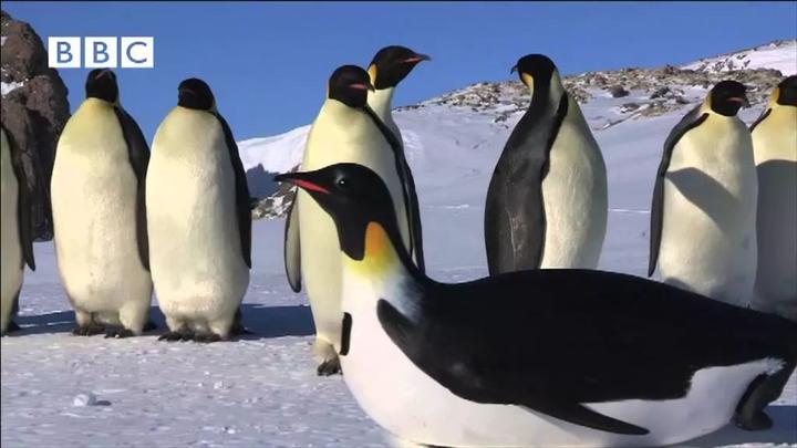 http://www.52hrttpic.com/image/infoImage/201804/06/G1522376420059.jpeg?720x405