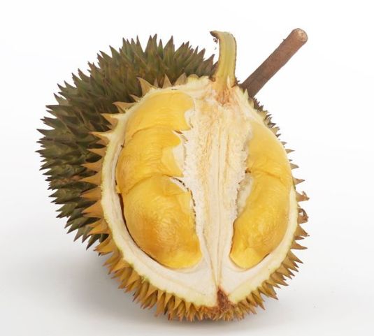 https://bbs.yeeyi.com/news/data/article/2018_04_29/0/pic_1524964869_93975.jpg
