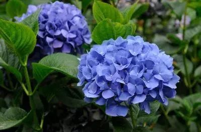 https://mmbiz.qpic.cn/mmbiz_jpg/XIo5icAdibUPITwlyY8JzRjhcBUmupB5GQA6ZGfWcS1FYHric3eQSVEBssjslUXiaC3At6OszqCbicFaib6ibice6I1ibNQ/640?wx_fmt=jpeg