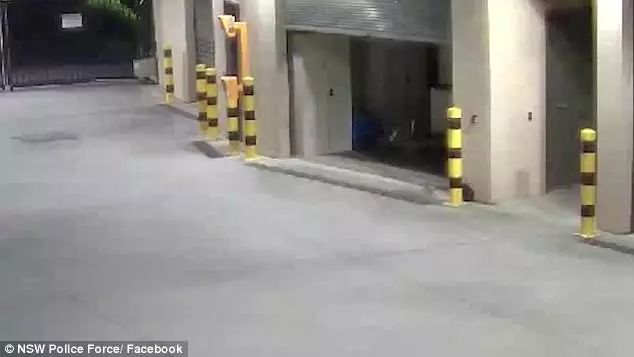 https://mmbiz.qpic.cn/mmbiz_jpg/XIo5icAdibUPJhibfTnhGEXGUJiczGNPkRu9B4NzAYUSUnlOWWvTdtLBJOkyVqdlhJBOOEibDDJTfERuUW6oBPzpuiaQ/640?wx_fmt=jpeg