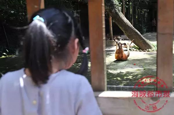 https://mmbiz.qpic.cn/mmbiz_jpg/XIo5icAdibUPJQIic7fALjhZjCPEUMpGr2AGAvW2xf8TbYWNlW62tvoDAABEicXVG6PyNSeYVGIKNE0ttgG4ziabeGQ/640?wx_fmt=jpeg