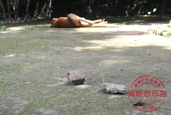 https://mmbiz.qpic.cn/mmbiz_jpg/XIo5icAdibUPJQIic7fALjhZjCPEUMpGr2AcpFue7eIk3HibaK8uMJypa0BDam6KpaZ25QcRxr9D0tIoMISMxSfj4A/640?wx_fmt=jpeg