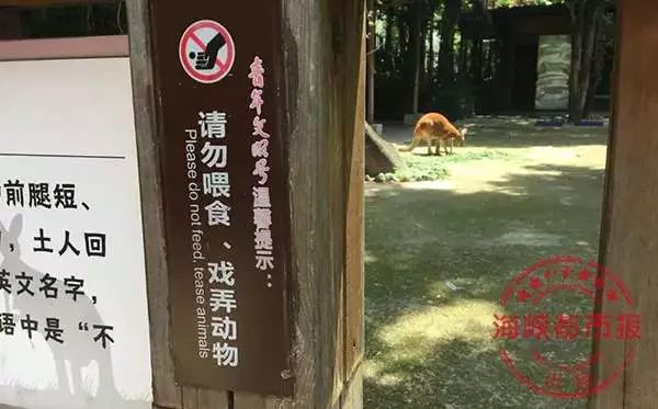 https://mmbiz.qpic.cn/mmbiz_jpg/XIo5icAdibUPJQIic7fALjhZjCPEUMpGr2AT0QDqW4VeZy7NGKqhlqTvia3ibT7w9HYLFVgxo4eaVkxCR5iarjT6WPbQ/640?wx_fmt=jpeg
