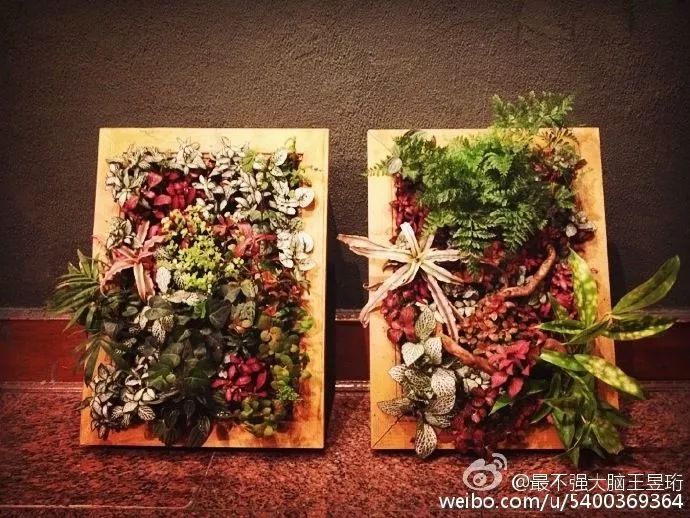 https://mmbiz.qpic.cn/mmbiz_jpg/zKBwDdu8U8GBLhgvaH7dCkjNg2I6K83paG1ibd0t8jjvR3LfpyRy7PZDmricmaAPFwusn7MfuZxB3wgCW1lY6sRQ/640?wx_fmt=jpeg