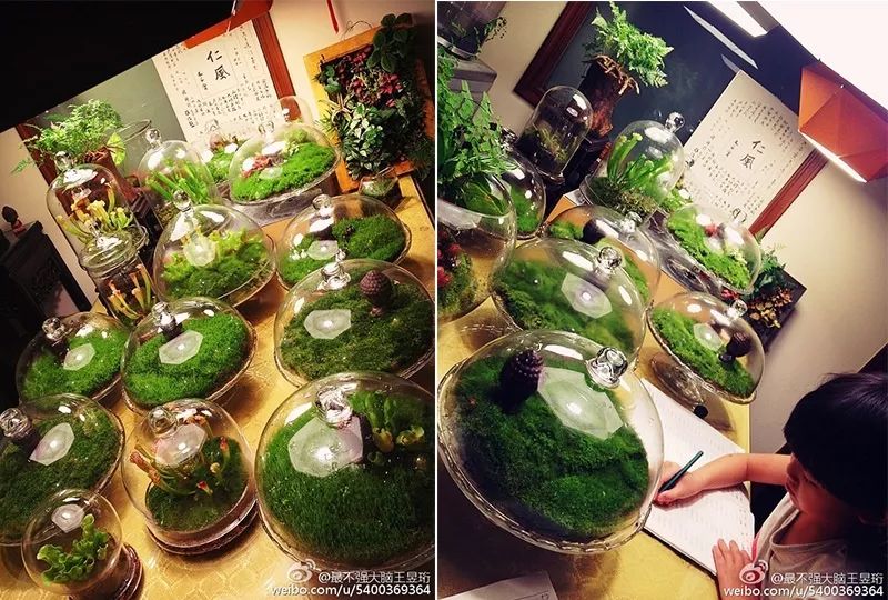 https://mmbiz.qpic.cn/mmbiz_jpg/zKBwDdu8U8H9W5aOeQEfZgxia7FfKsbD45AsMjcI5mUY8VE3wFNwYWiaEUnZAhXakGxGAQ84AI8pghQbCia2TMm9g/640?wx_fmt=jpeg