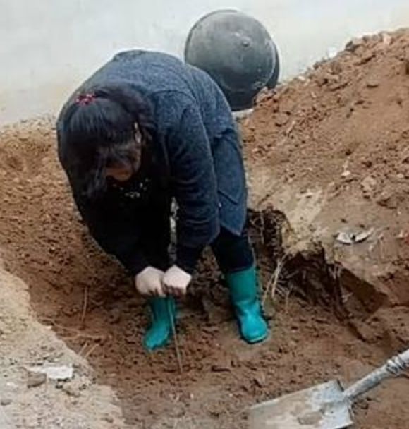 https://mmbiz.qpic.cn/mmbiz_png/zKBwDdu8U8F8dt4vIQ5uSsliaq6wKn2Y0ZUW8IBkDtgPDFm9uks2JjPPTdH2ICaWuibQmMXibUXsgoCiblf0vXcXcw/640?wx_fmt=png