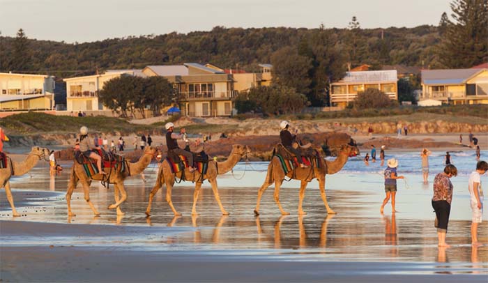 https://visionmagazine.com.au/article_photo/17/20180415035551-port-stephens-6.jpg