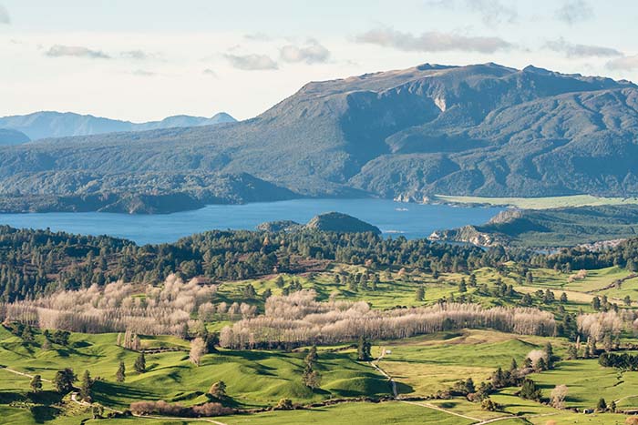 https://visionmagazine.com.au/article_photo/17/20180415041008-rotorua-1.jpg