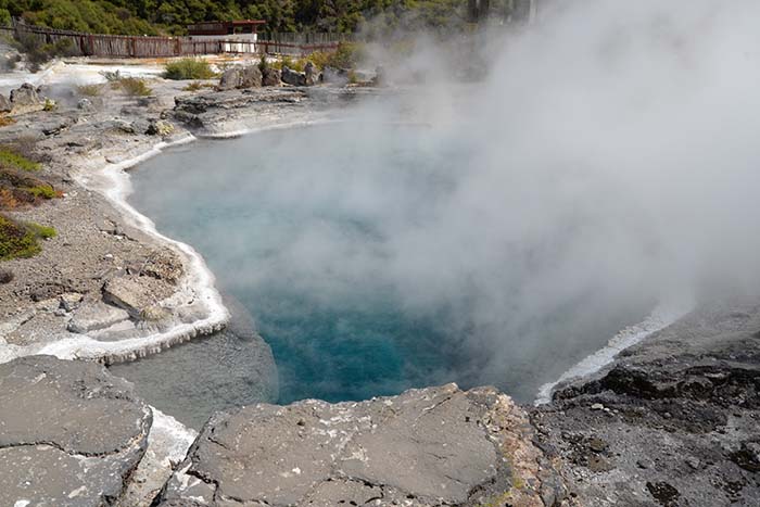 https://visionmagazine.com.au/article_photo/17/20180415041033-rotorua-3.jpg