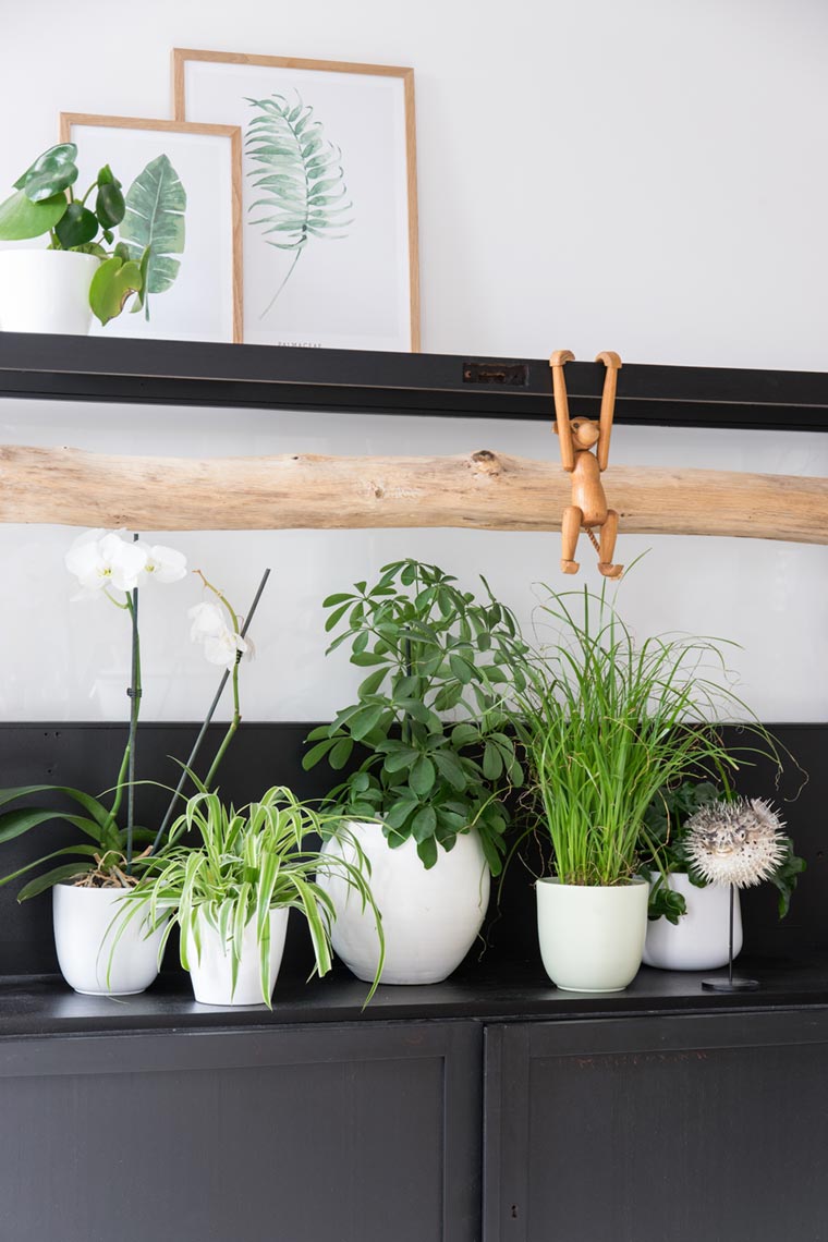 https://www.designwant.com/upload/images/180108-8_08.jpg