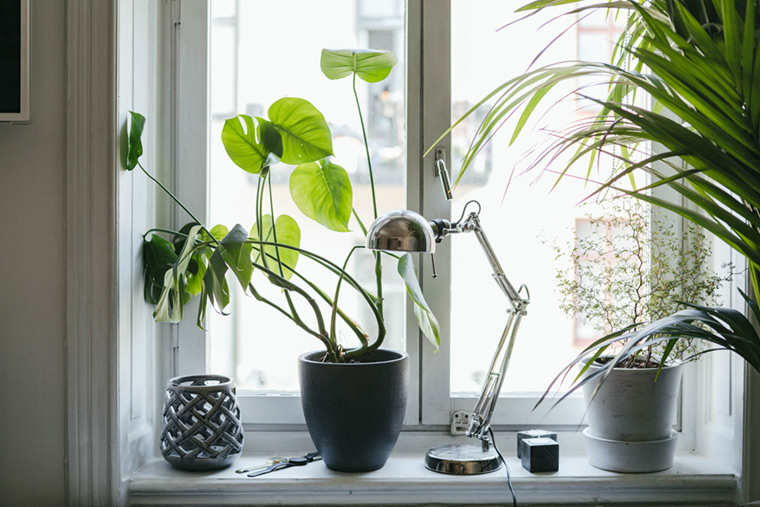 https://www.designwant.com/upload/images/180120-5_16.jpg