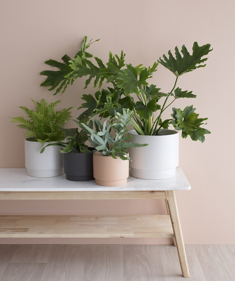 https://www.designwant.com/upload/images/180126-7_12.jpg