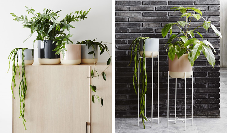 https://www.designwant.com/upload/images/180126-7_14.jpg