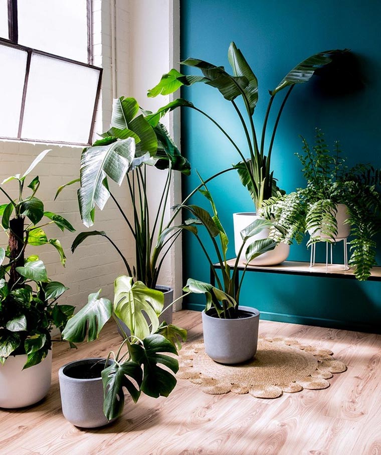 https://www.designwant.com/upload/images/180126-7_03.jpg