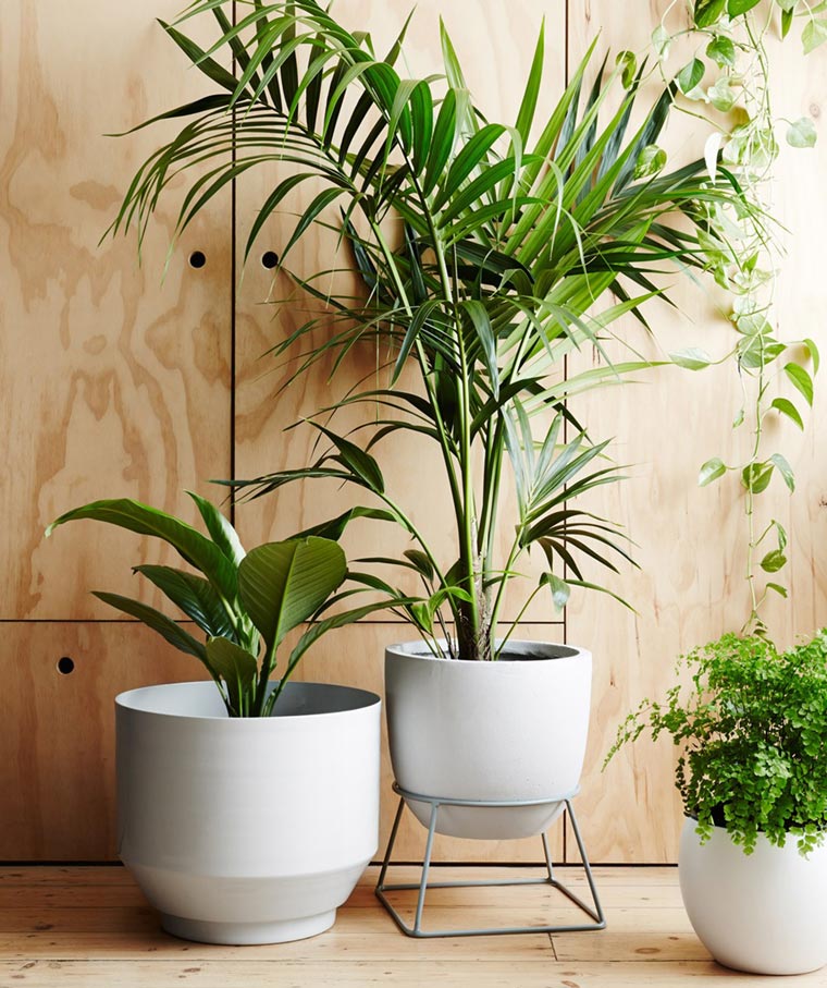 https://www.designwant.com/upload/images/180126-7_05.jpg