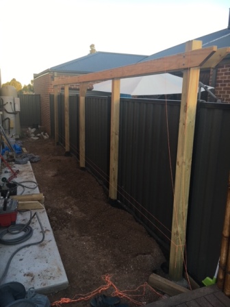 6.JPG