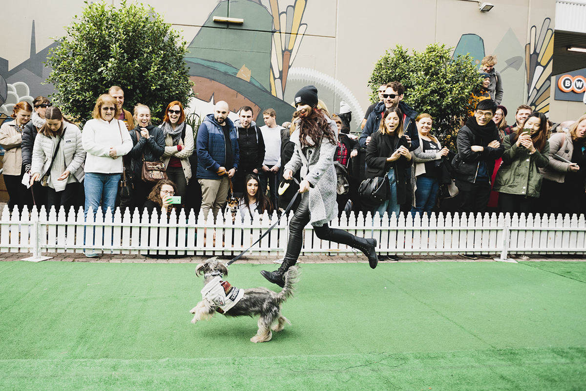 Barkly-Barks-Dog-Festival-2017-Dog-Parade-Credit-Anthony-Strong2.jpg