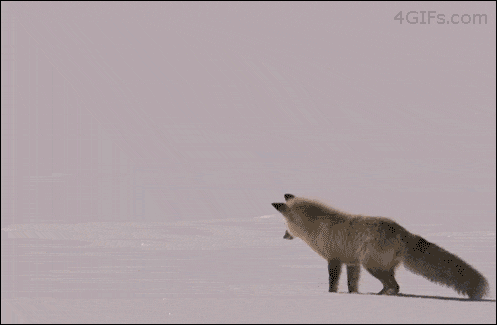 http://cdn36.chinesetoday.cn/2018/news/20180510/18051014195af3c855451ff.gif