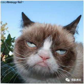http://mmbiz.qpic.cn/mmbiz_png/UBfFgmZMO1DrqIGQ3ZdKymuGFmD5u23kBLP9xTendSPlcibICELFov7caOlzuQaGMV6GNOlI7futDdZO8DknDqQ/0?wx_fmt=png