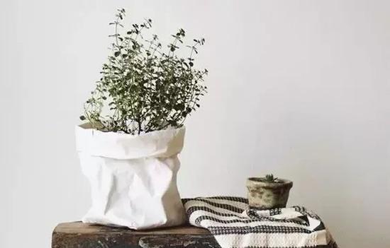 http://n.sinaimg.cn/fashion/crawl/101/w550h351/20180514/-aaH-hapkuvk3516104.jpg