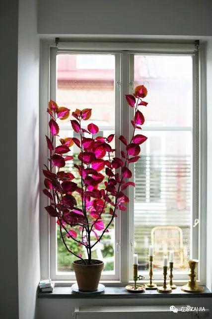 http://n.sinaimg.cn/fashion/crawl/267/w427h640/20180508/39Qw-hacuuvv0695366.jpg