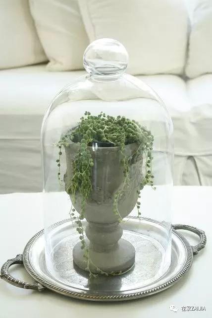 http://n.sinaimg.cn/fashion/crawl/269/w428h641/20180508/G0It-hacuuvv0696282.jpg