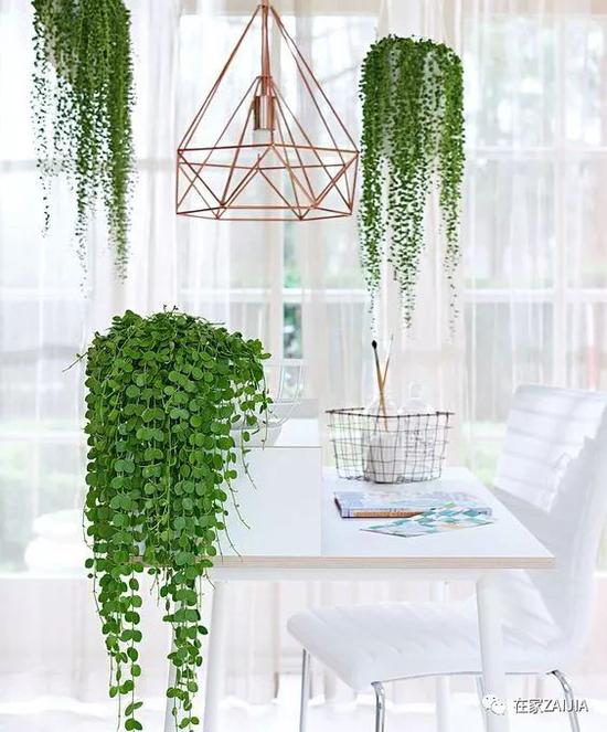http://n.sinaimg.cn/fashion/crawl/413/w550h663/20180508/pmrK-hacuuvv0695999.jpg